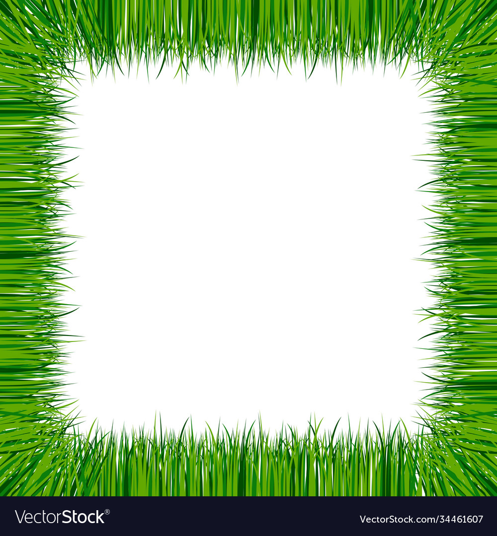 Realistic green grass frame isolated on white Vector Image