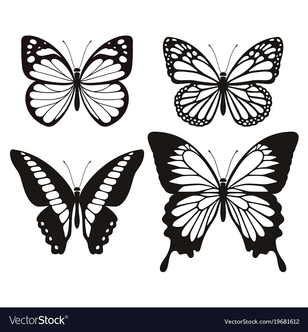 Butterfly Vector Silhouette