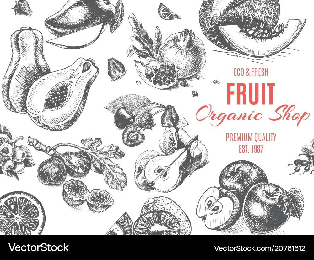 Fruit Organic Shop Banner Sketch Drawn Royalty Free Vector