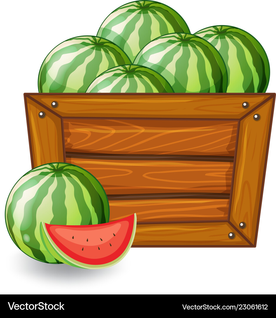 Watermelon On Wooden Banner Royalty Free Vector Image