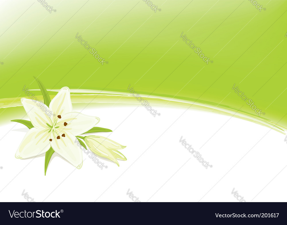 Abstract floral background Royalty Free Vector Image