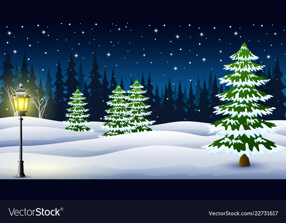 Cartoon of winter night background with pine trees