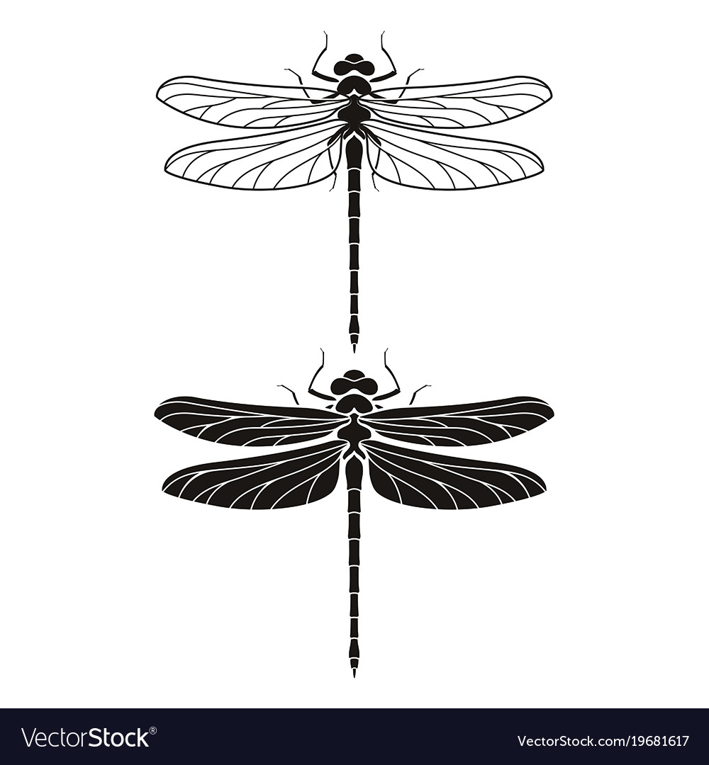 Dragonfly Silhouette Icons Set Royalty Free Vector Image