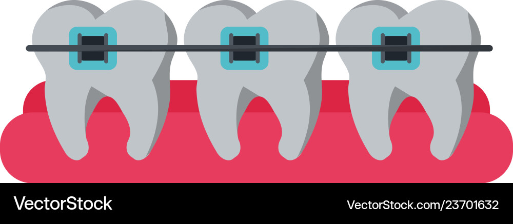 Teeth with braces Royalty Free Vector Image - VectorStock