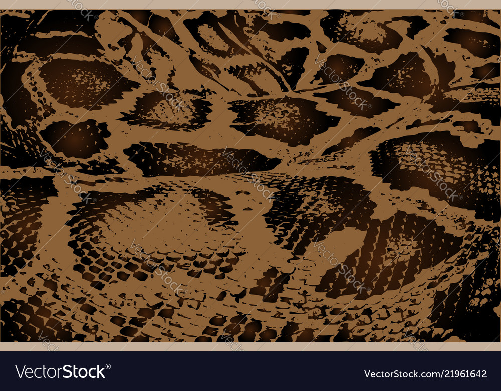 Python - abstract pattern Royalty Free Vector Image