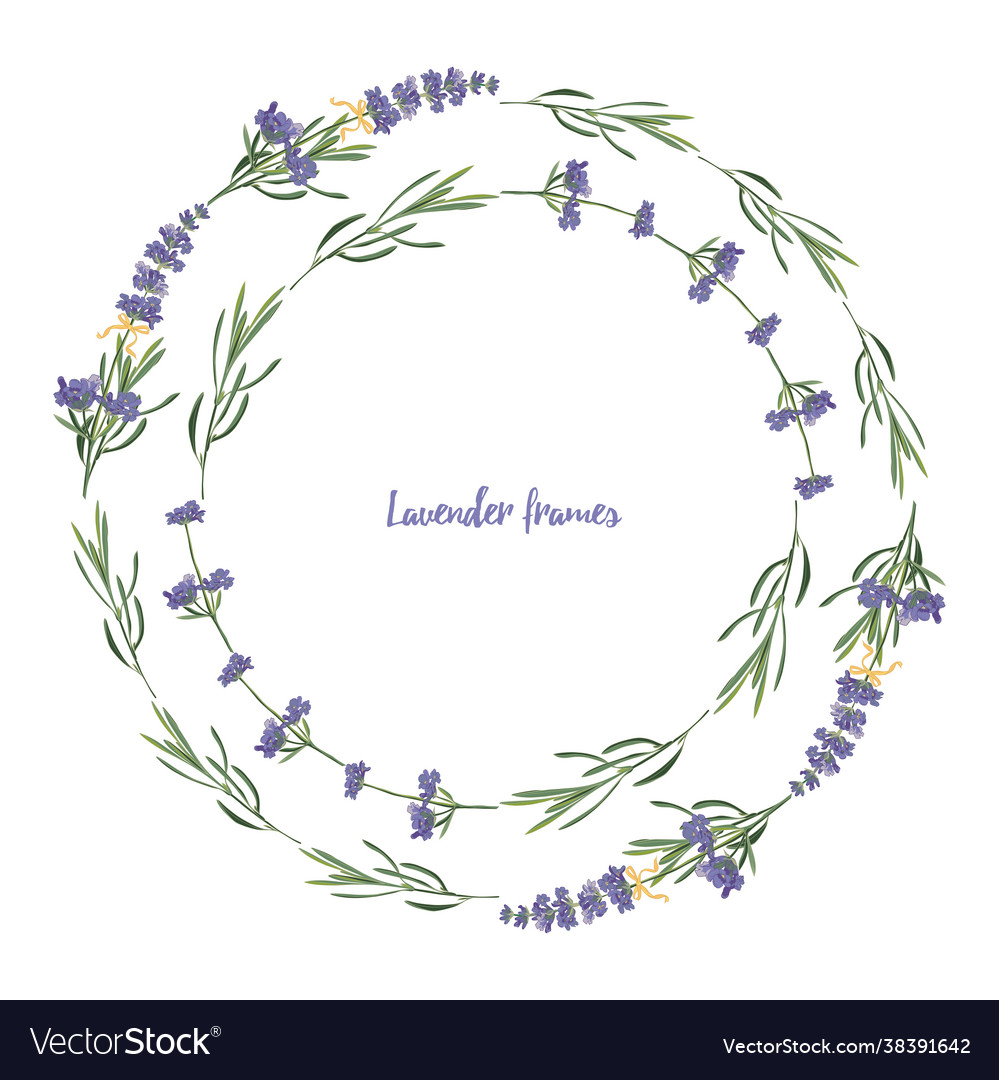 Set violet lavender beautiful floral frames Vector Image