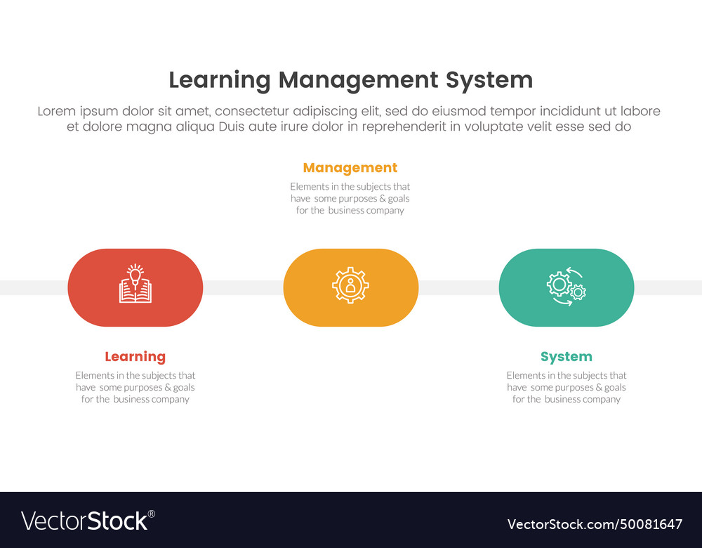 Lms learning management system infographic 3 Vector Image