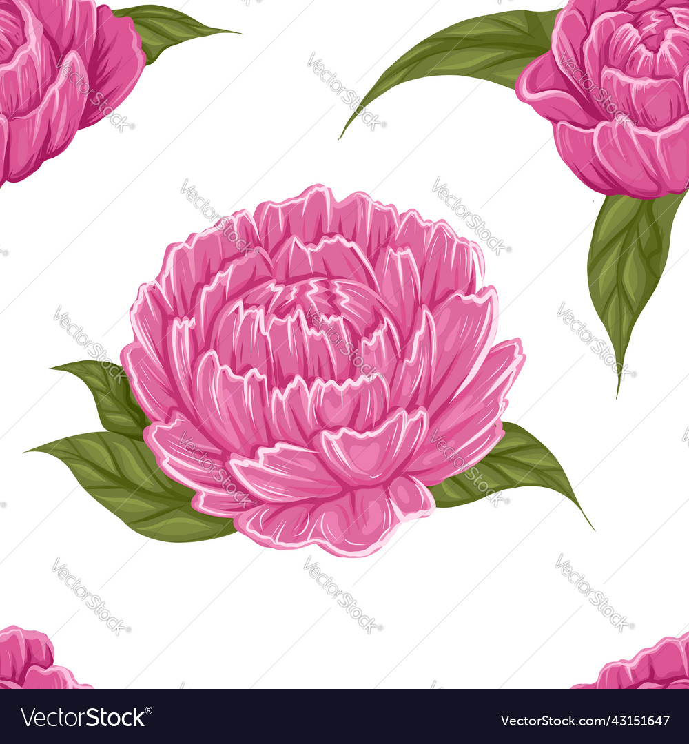 Seamless pattern with big peony flowers vector image Seamless pattern with big peony flowers