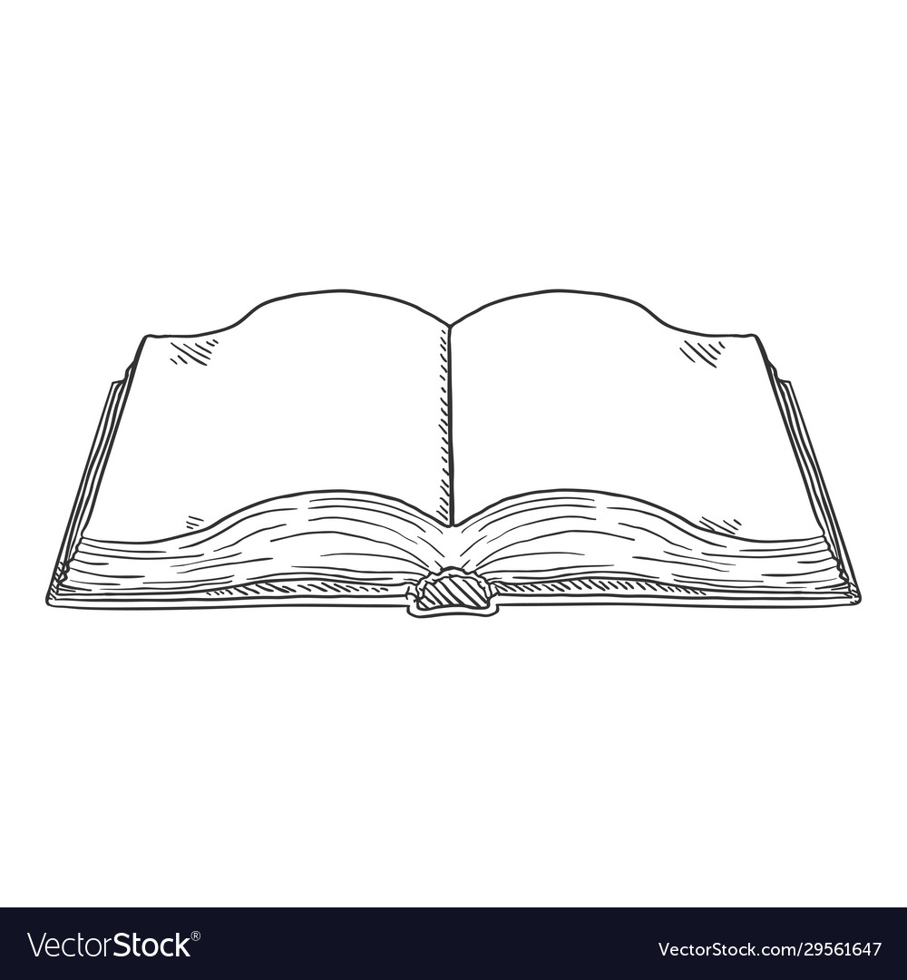 Open Book Hand Drawn Sketch Stock Vector - Illustration of clean