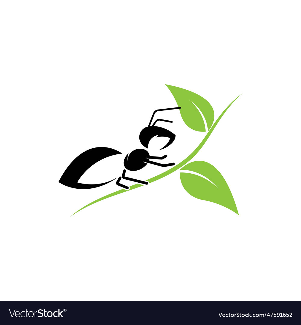 Ant logo template design Royalty Free Vector Image