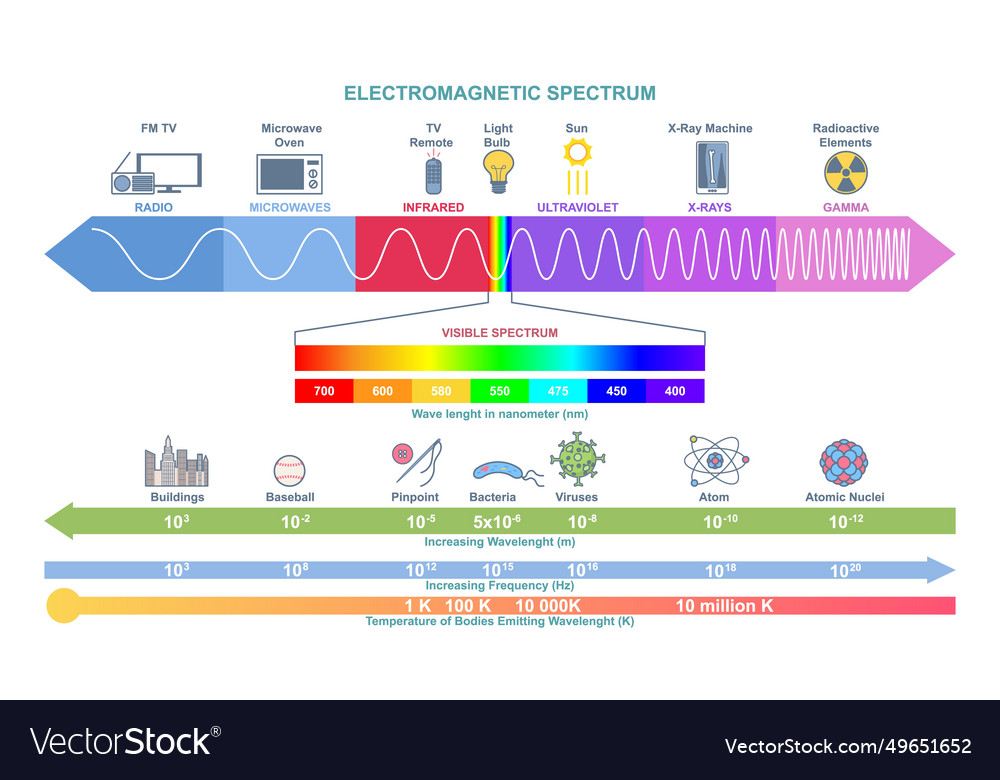 Electromagnetic spectrum infographic Royalty Free Vector