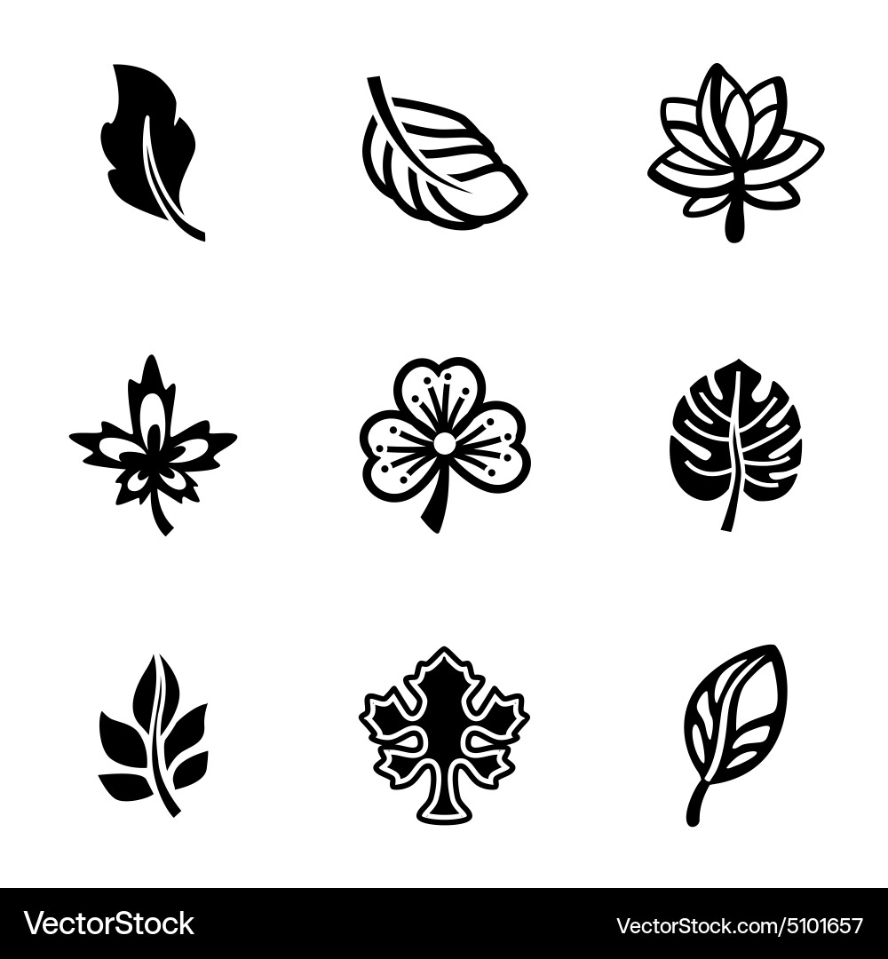 Leaf icon set Royalty Free Vector Image - VectorStock