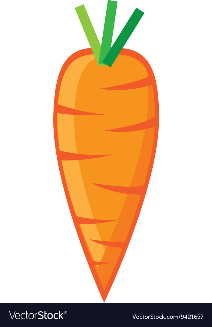 Orange carrot and green leaves graphic Royalty Free Vector