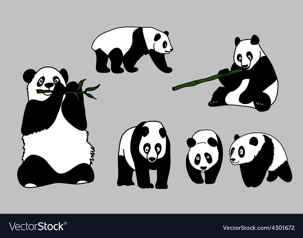 Panda Royalty Free Vector Image - VectorStock