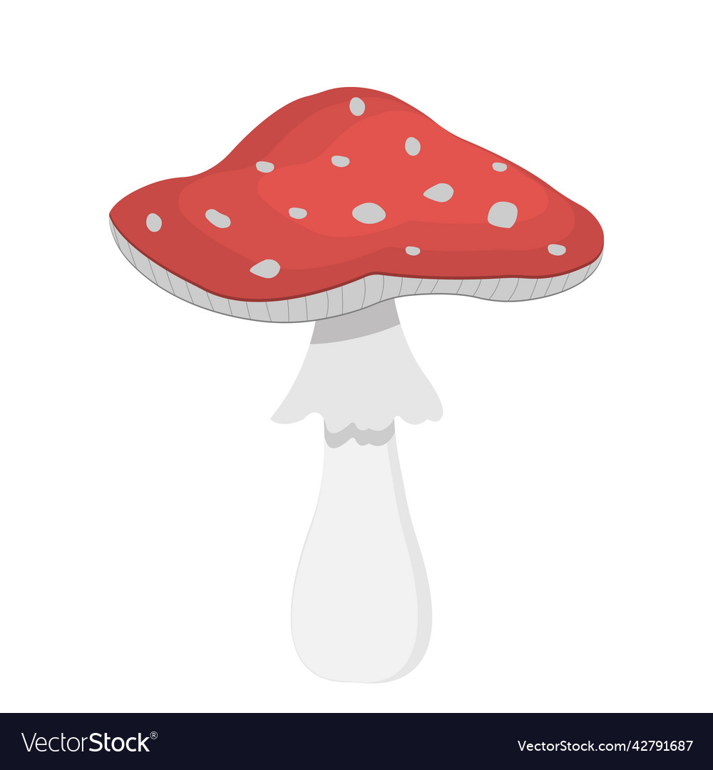Fly agaric Royalty Free Vector Image - VectorStock