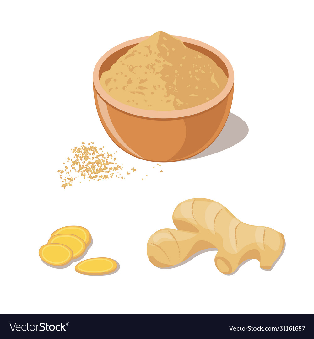 Fresh ginger powder in bowl and root Royalty Free Vector