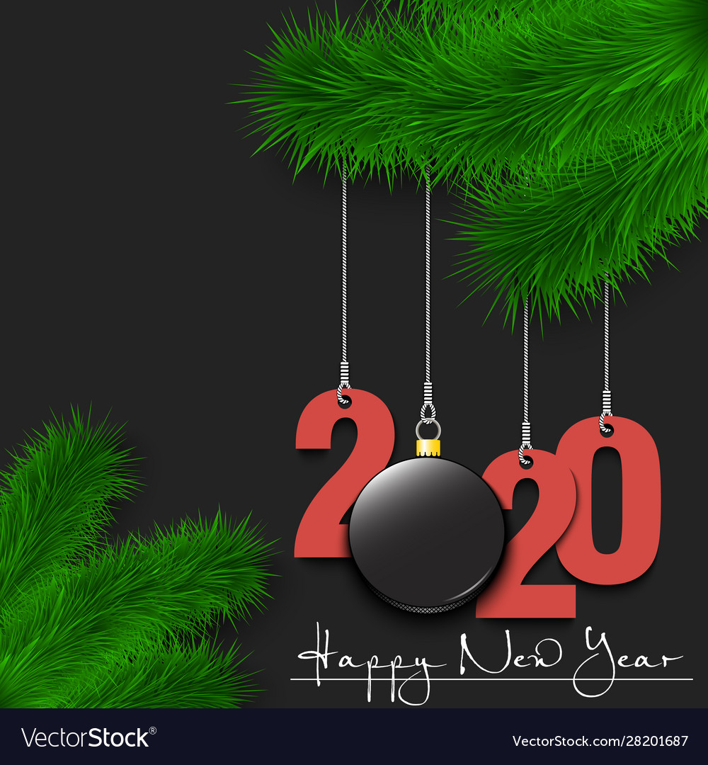 Hockey puck and 2020 on a christmas tree branch Vector Image