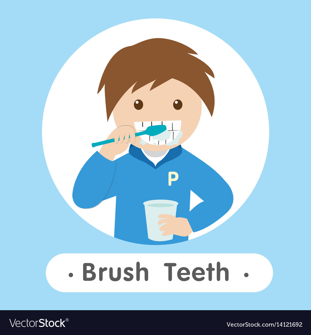 Brushing teeth Royalty Free Vector Image - VectorStock