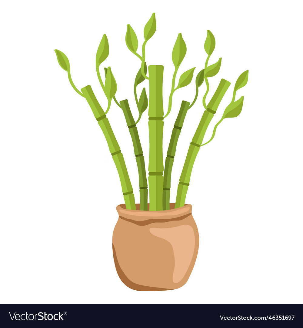 Bamboo Lucky Plant Set Royalty Free Vector Image