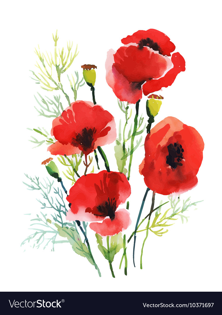 watercolor flowers red