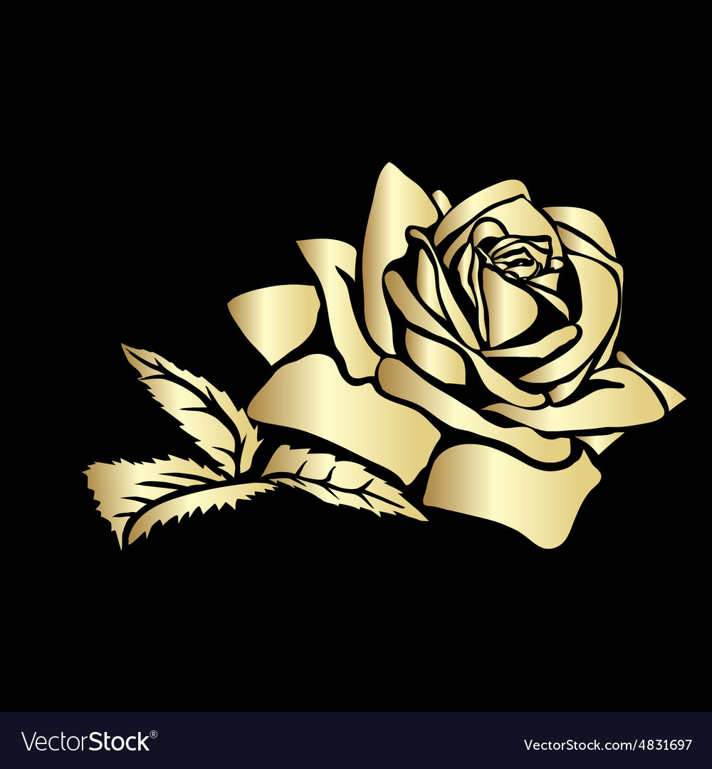 Rose sketch Royalty Free Vector Image - VectorStock