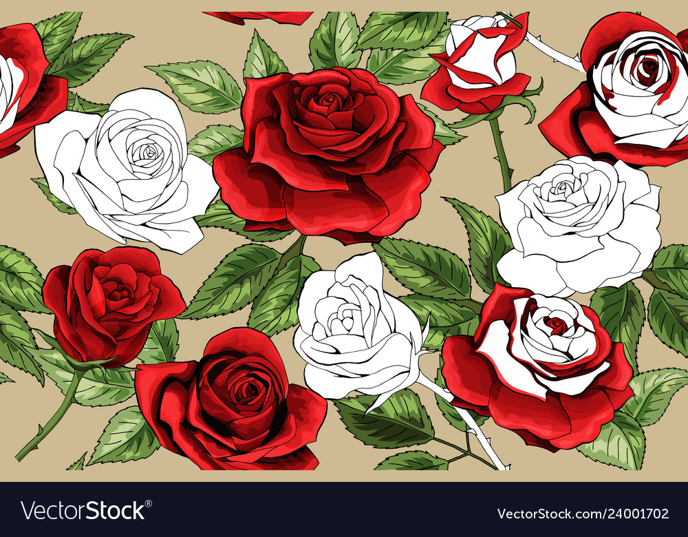 Beautiful white outline and colered red roses Vector Image