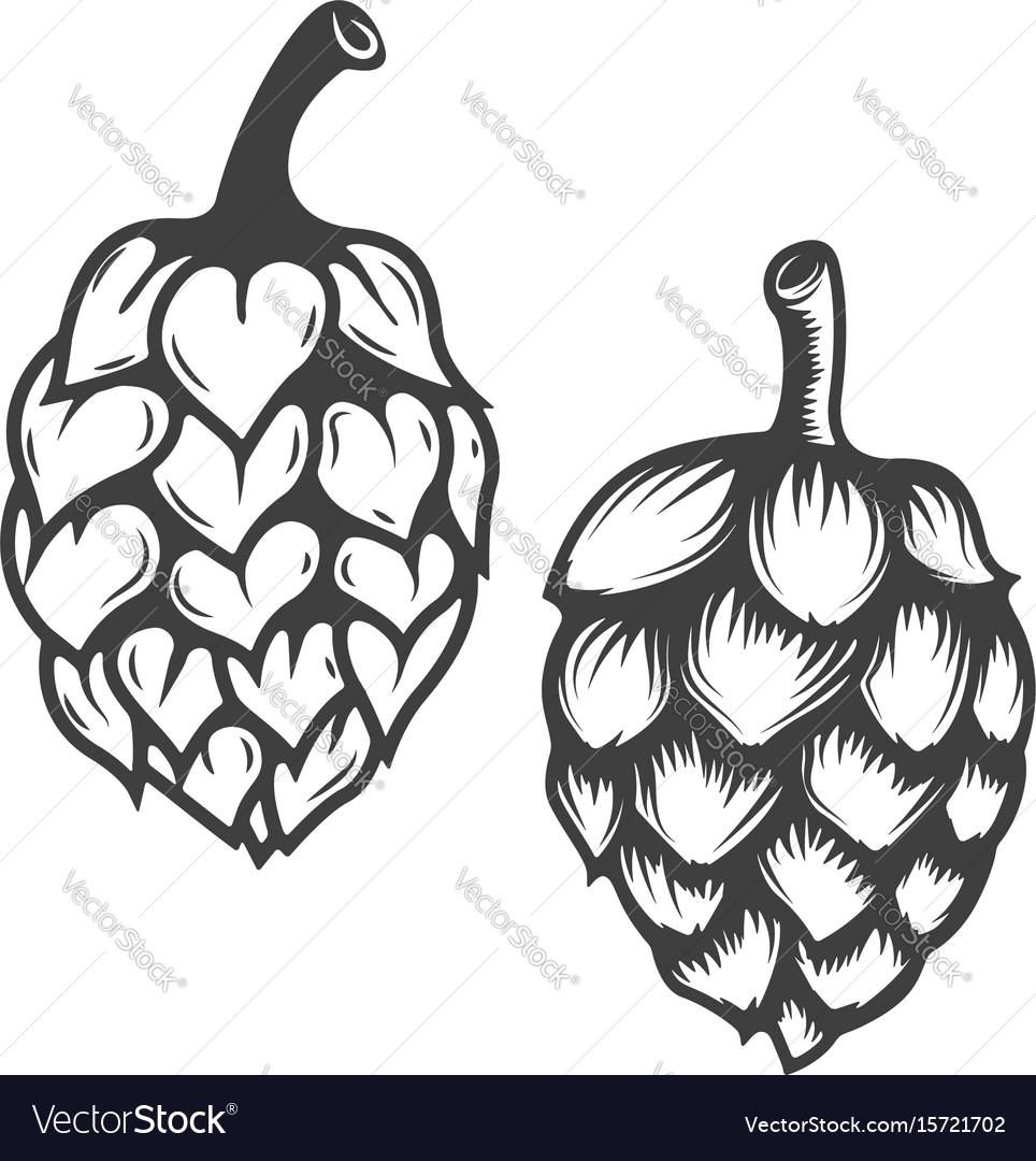 Set of hop icons isolated on white background Vector Image