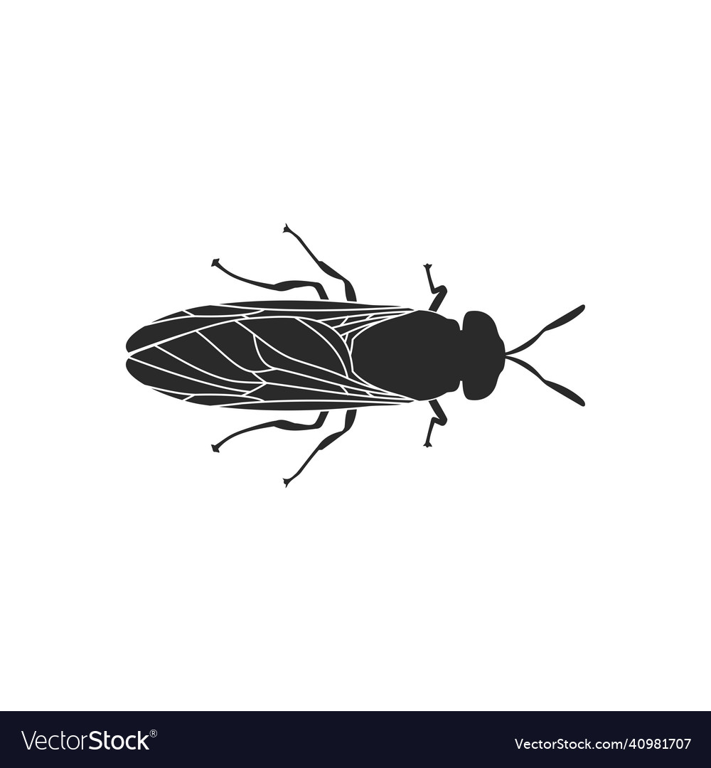 Flies silhouette fly silhouette vector image Flies silhouette fly silhouette