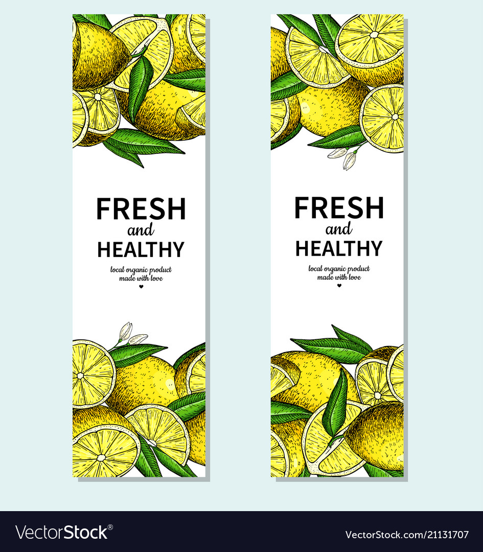 Lemon Banner Drawing Citrus Fruit Frame Royalty Free Vector Lemon Banner Drawing Citrus Fruit Frame Vector Image