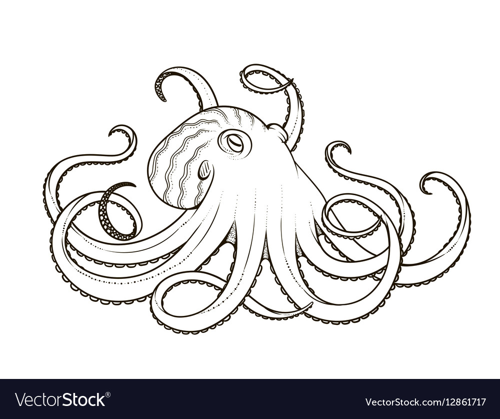 Octopus Line Art Style Design For T Shirt Posters Vector Image