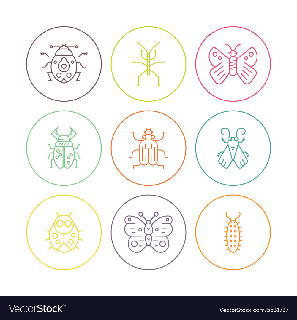 Bugs in circles Royalty Free Vector Image VectorStock