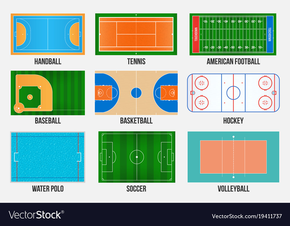 Creative of sport game fields Royalty Free Vector Image