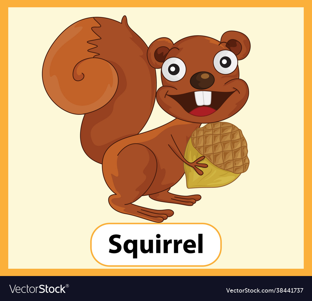 Educational english word card squirrel Royalty Free Vector