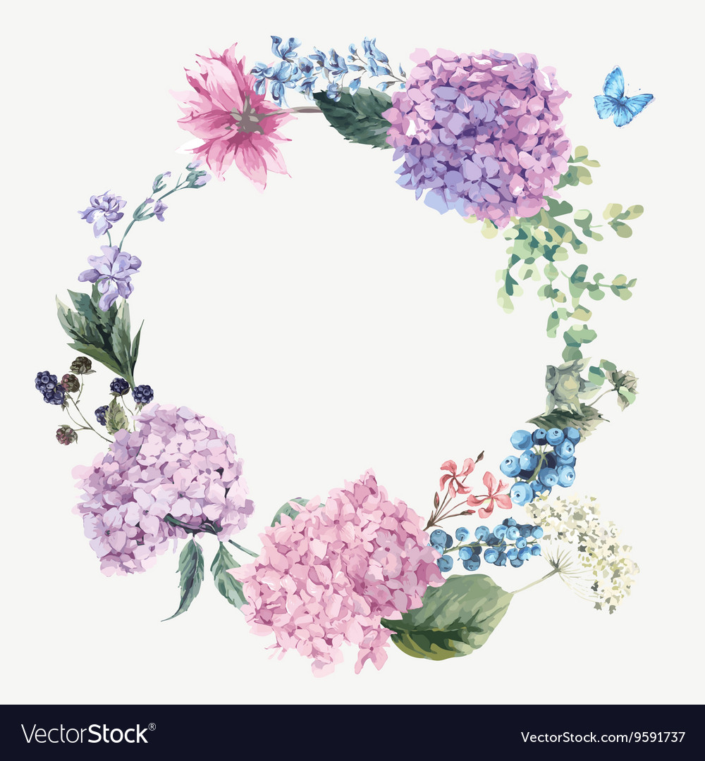 Floral greeting card with blooming hydrangea Vector Image