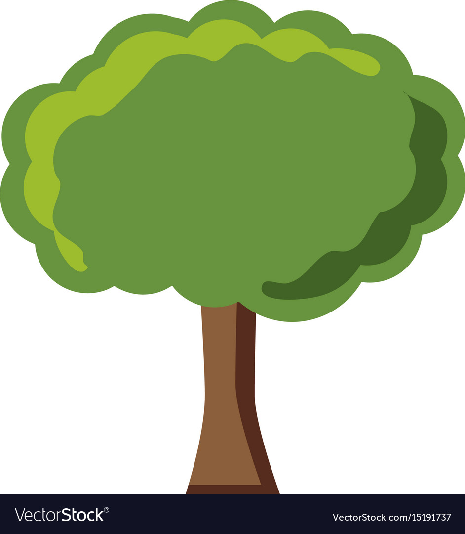 Tree icon image Royalty Free Vector Image - VectorStock