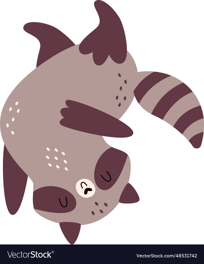 Playing raccoon animal Royalty Free Vector Image