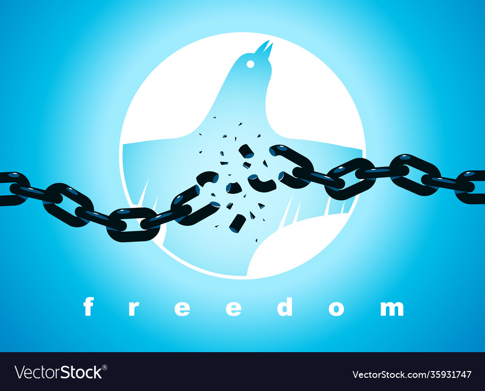 Bird flying up into sky and broken chain in front Vector Image