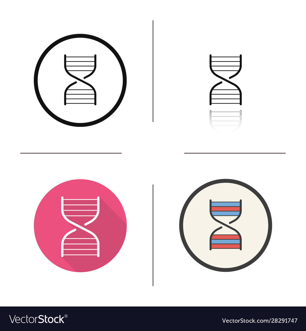 Dna chain model icon Royalty Free Vector Image