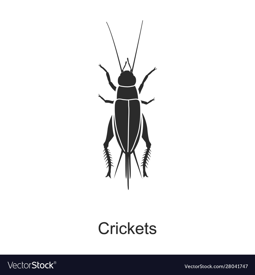 Insect cricket iconblack icon Royalty Free Vector Image