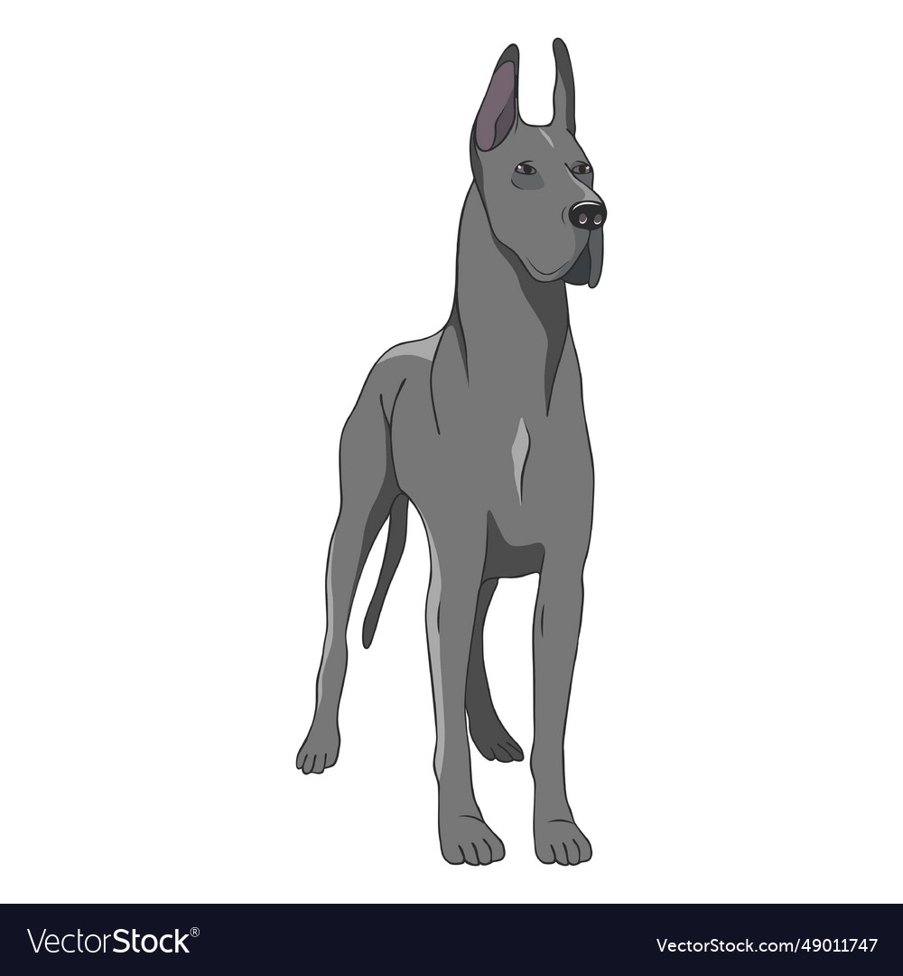 Standing Great Dane Dog Royalty Free Vector Image