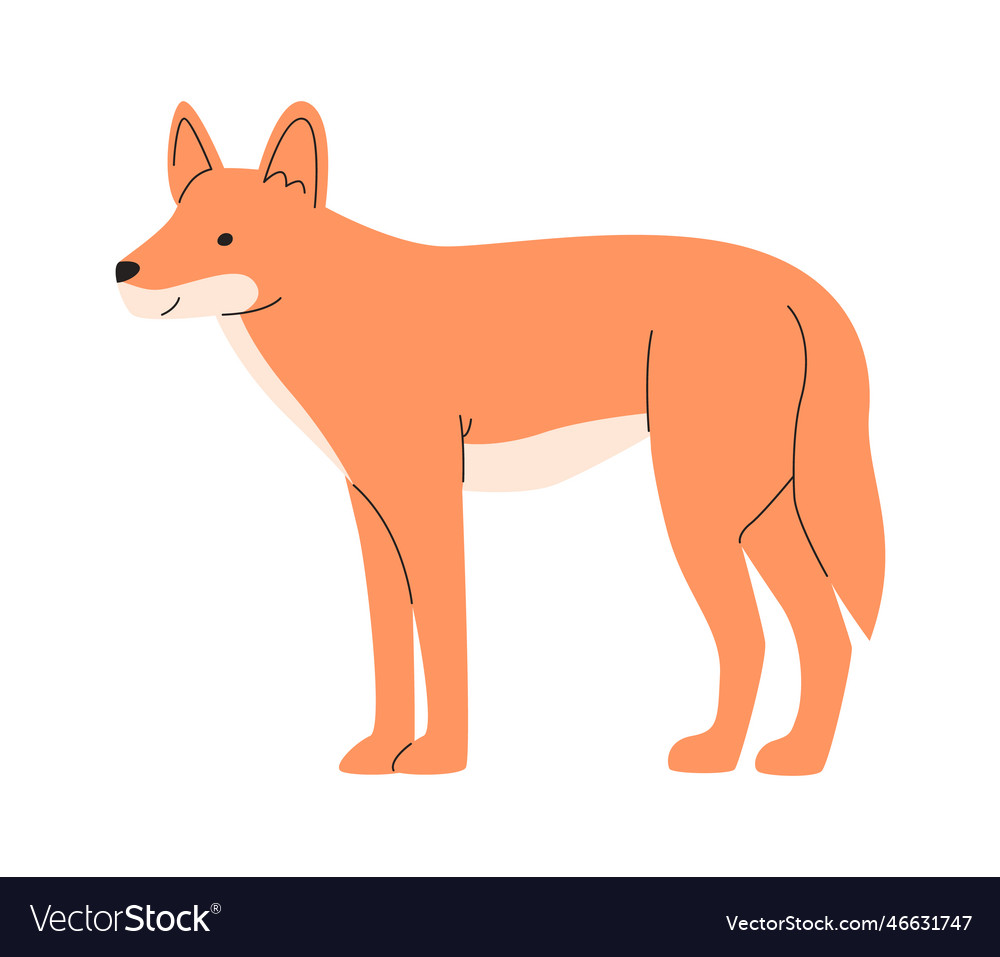 Staying dog animal Royalty Free Vector Image - VectorStock