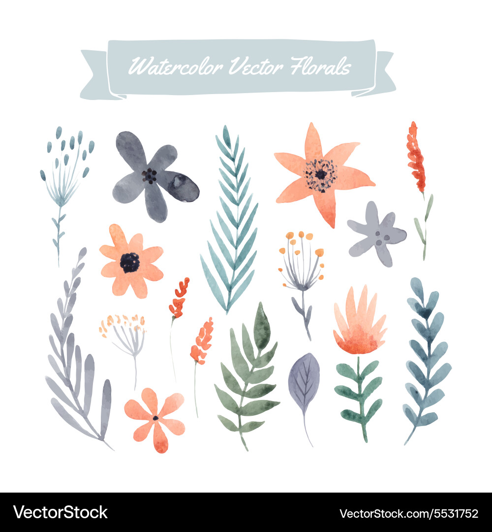 Set flowers Royalty Free Vector Image - VectorStock