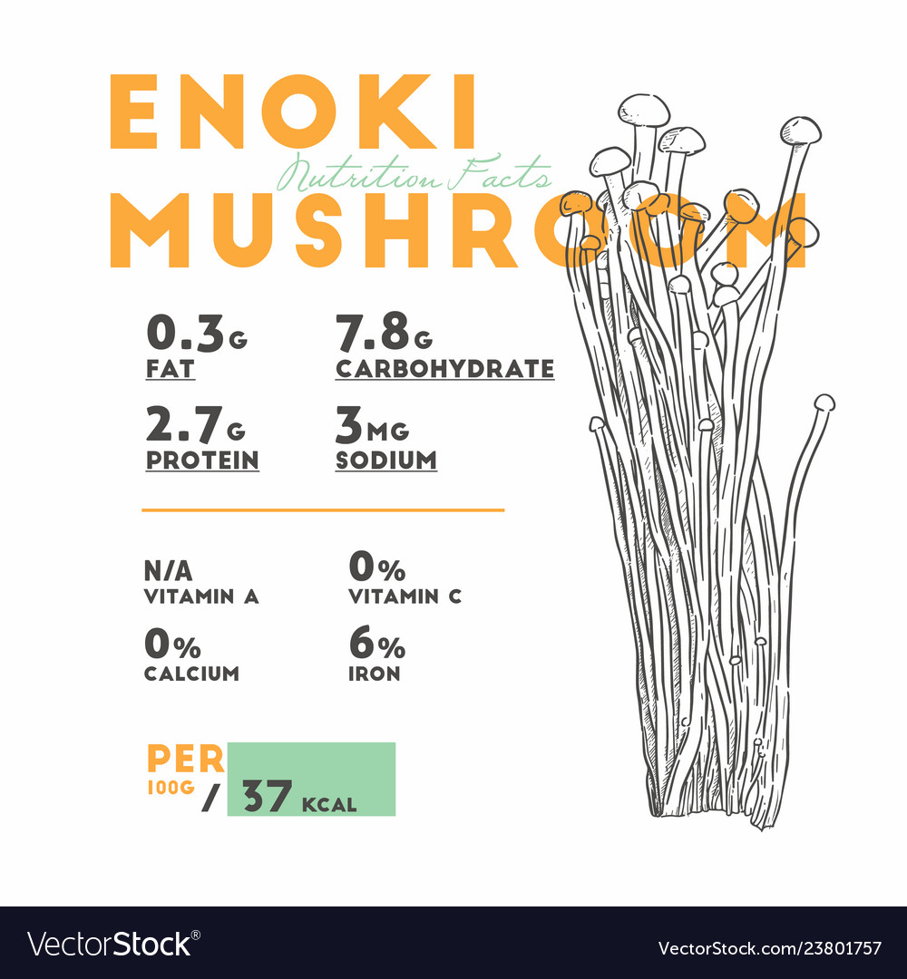 Nutrition facts enoki mushroom hand draw Vector Image