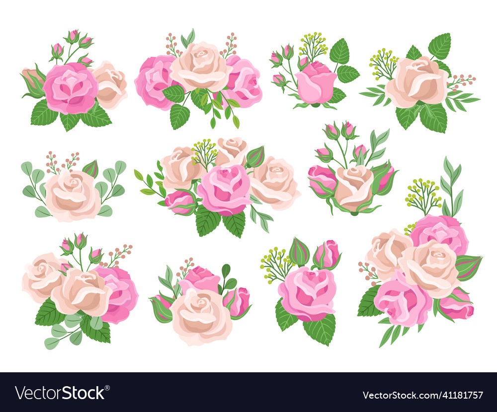 Rose bouquets roses flower bouquets with green Vector Image