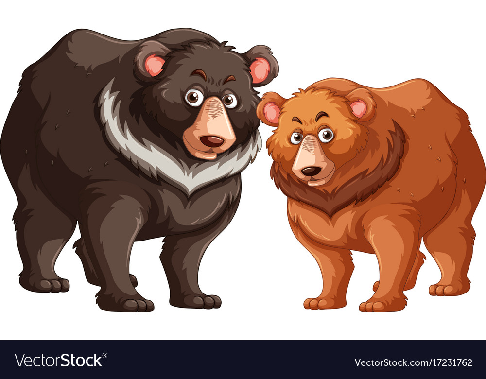 Black and brown bears Royalty Free Vector Image