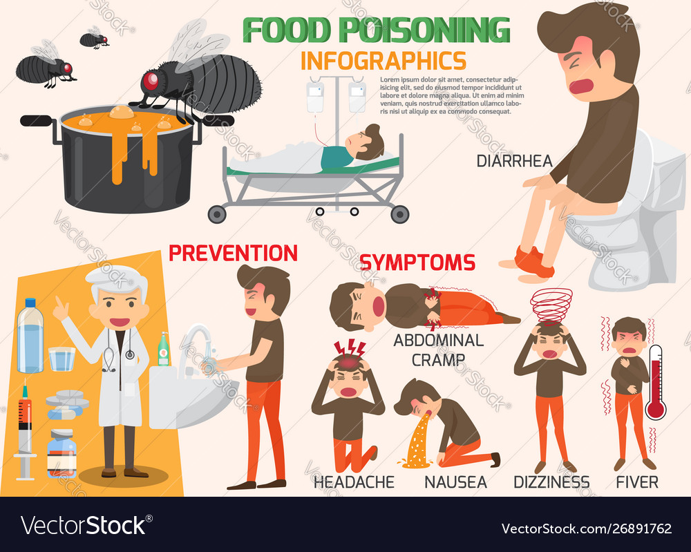 Stomach ache food poisoning infographics stomach Vector Image