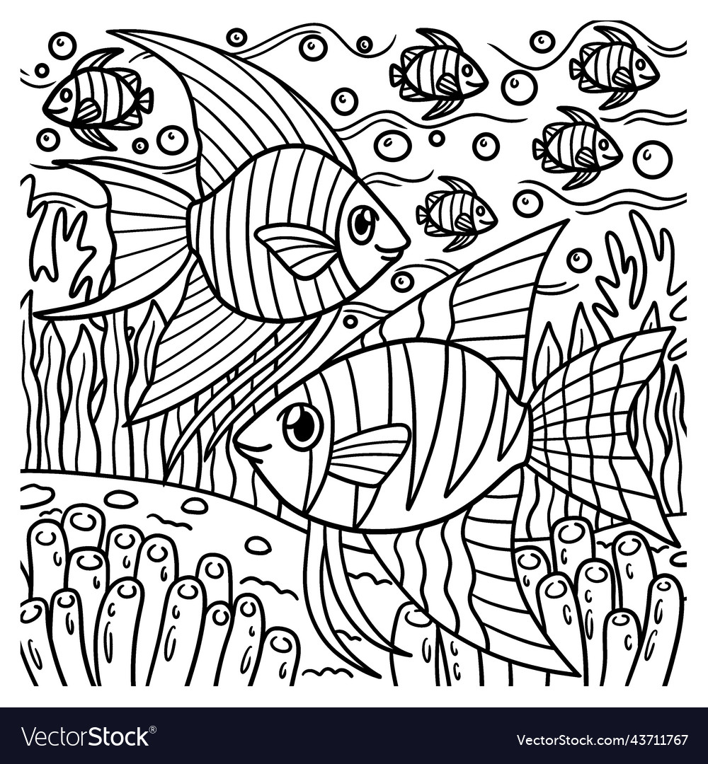 Angelfish coloring page for kids Royalty Free Vector Image