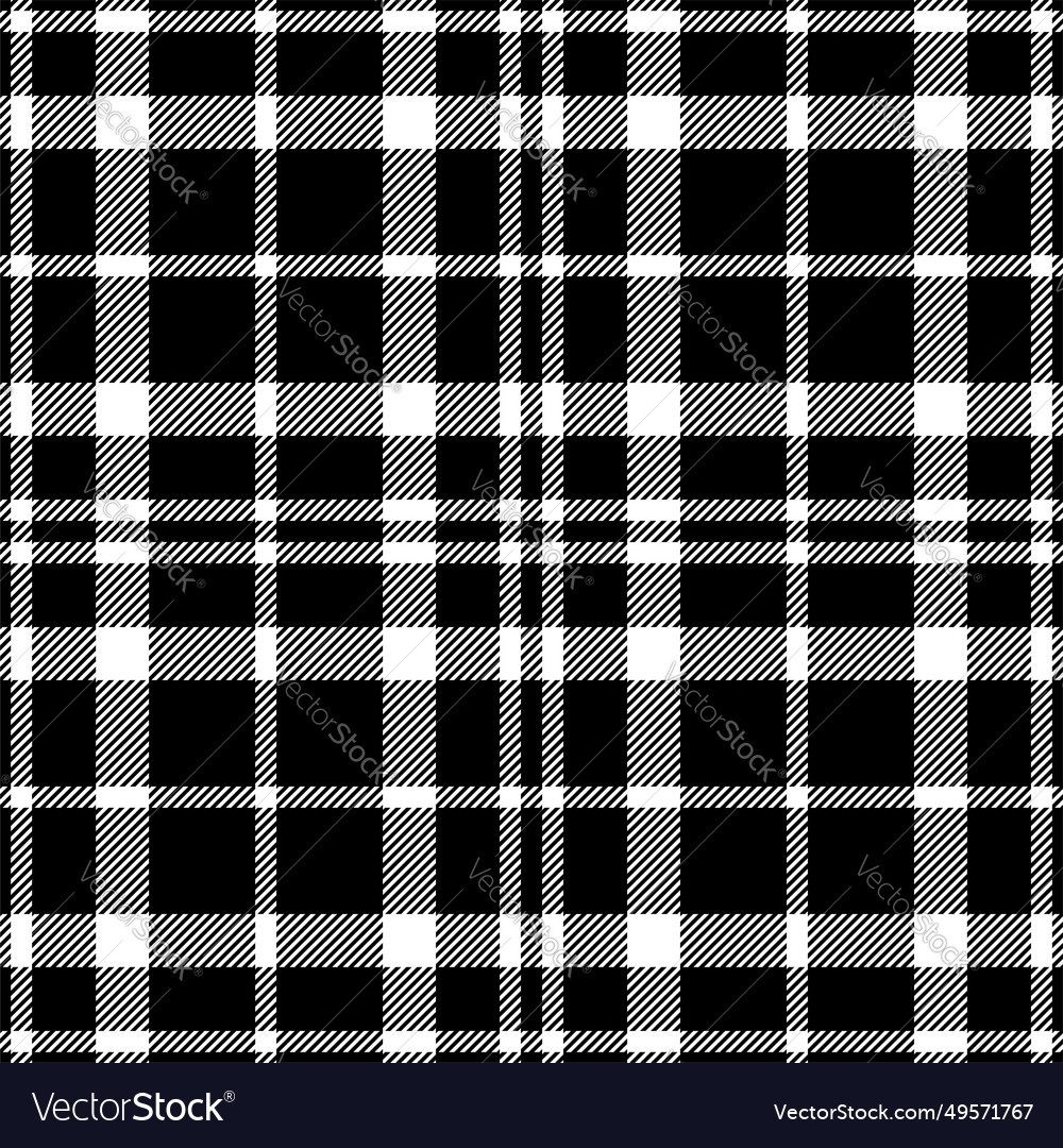 Plaid seamless pattern in black white check Vector Image