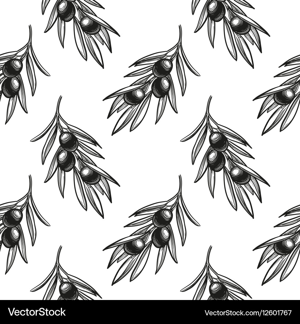 Seamless pattern with olive branch Royalty Free Vector Image