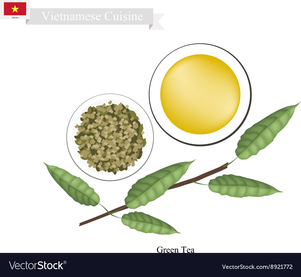 Fresh mango a famous fruit in vietnam Royalty Free Vector